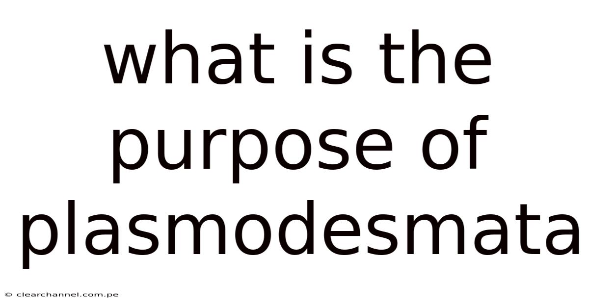 What Is The Purpose Of Plasmodesmata