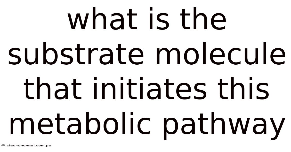 Wht Is Subsyrate What Is The Substrate Molecule That Initiates This Metabolic Pathway