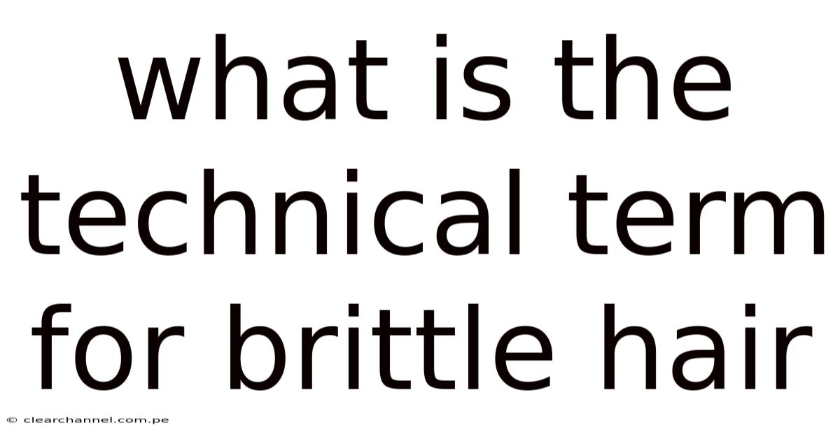 What Is The Technical Term For Brittle Hair