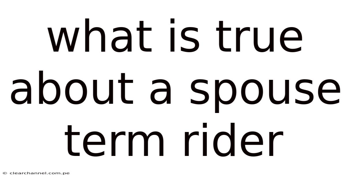 What Is True About A Spouse Term Rider