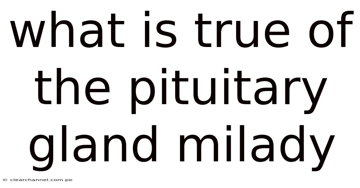 What Is True Of The Pituitary Gland Milady
