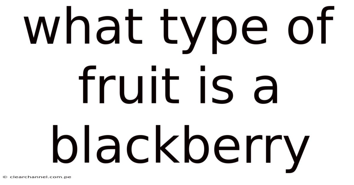 What Type Of Fruit Is A Blackberry