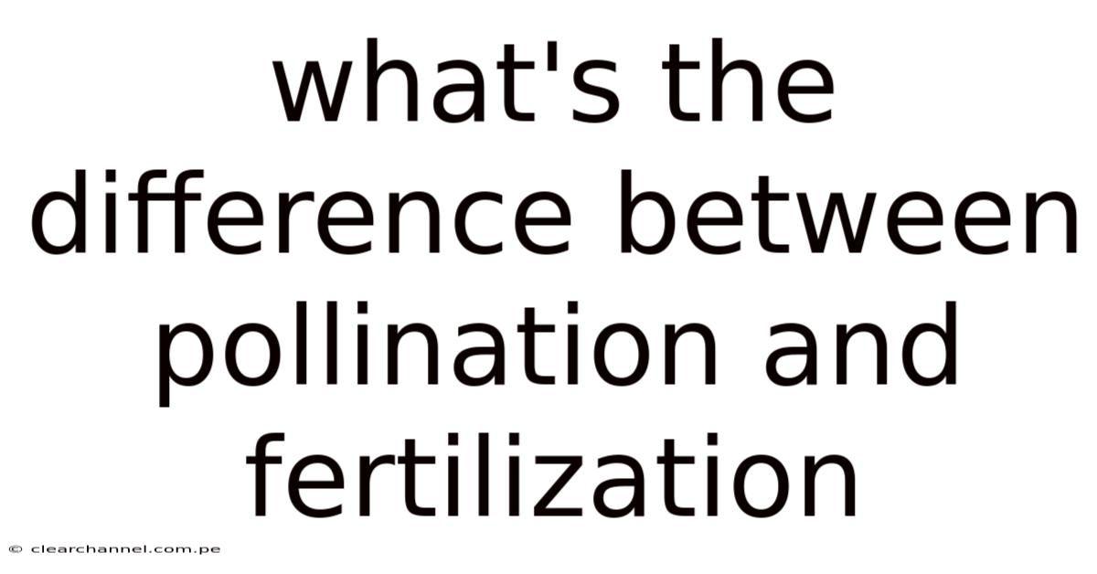 What's The Difference Between Pollination And Fertilization