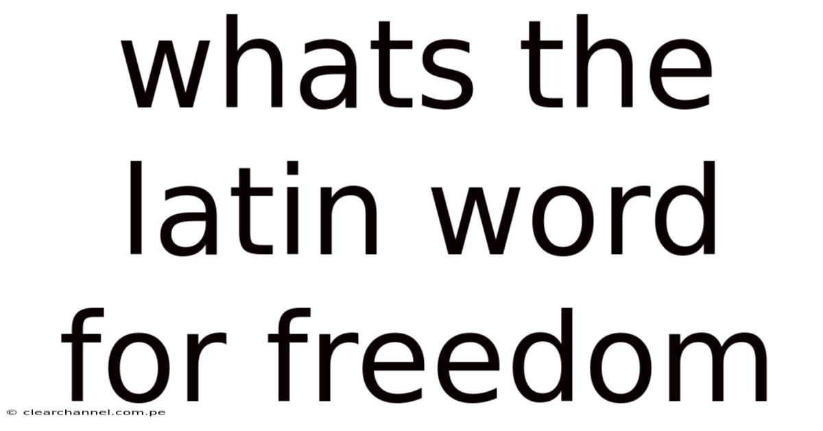 Whats The Latin Word For Freedom