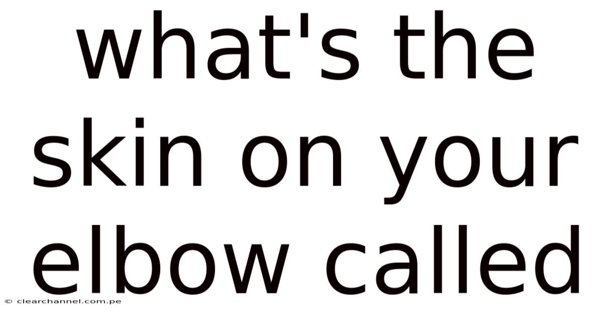 What's The Skin On Your Elbow Called