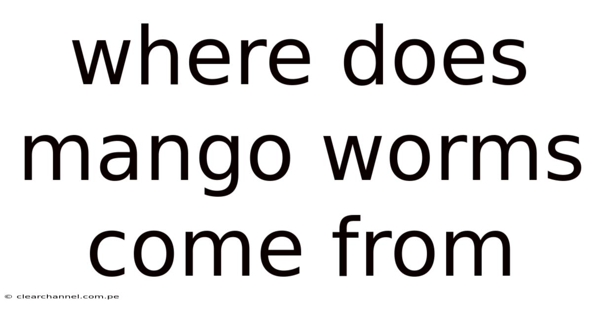 Where Does Mango Worms Come From