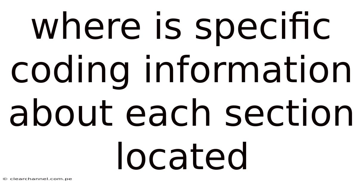 Where Is Specific Coding Information About Each Section Located