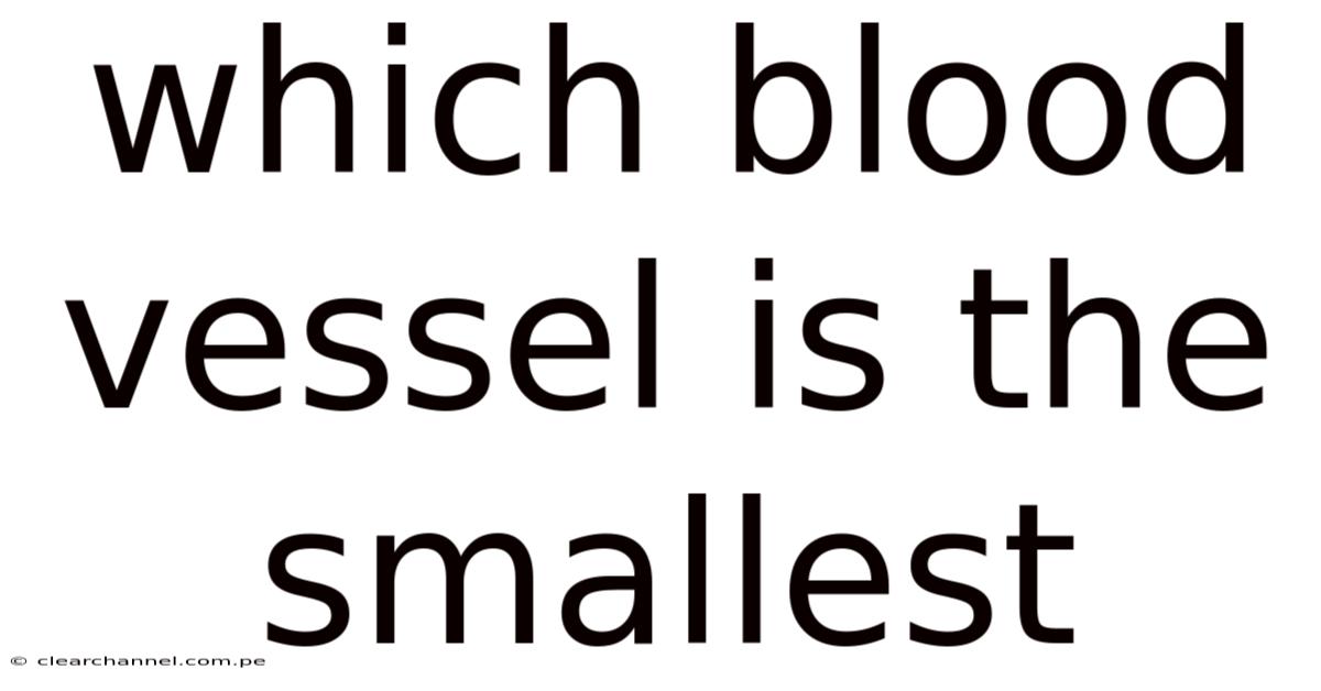 Which Blood Vessel Is The Smallest