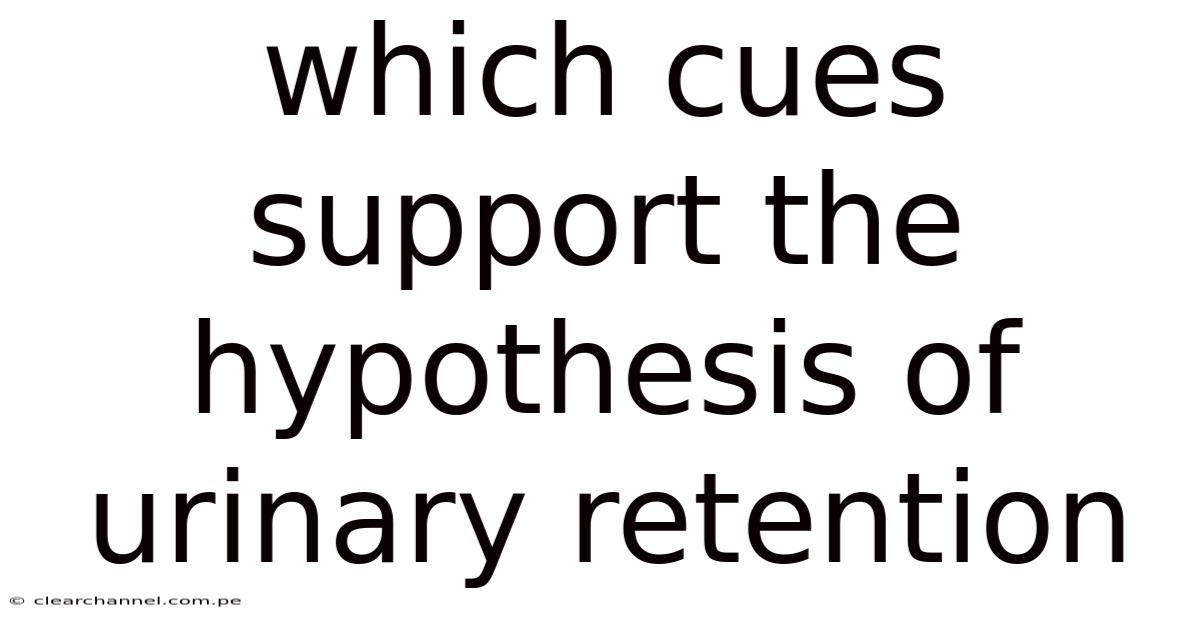Which Cues Support The Hypothesis Of Urinary Retention