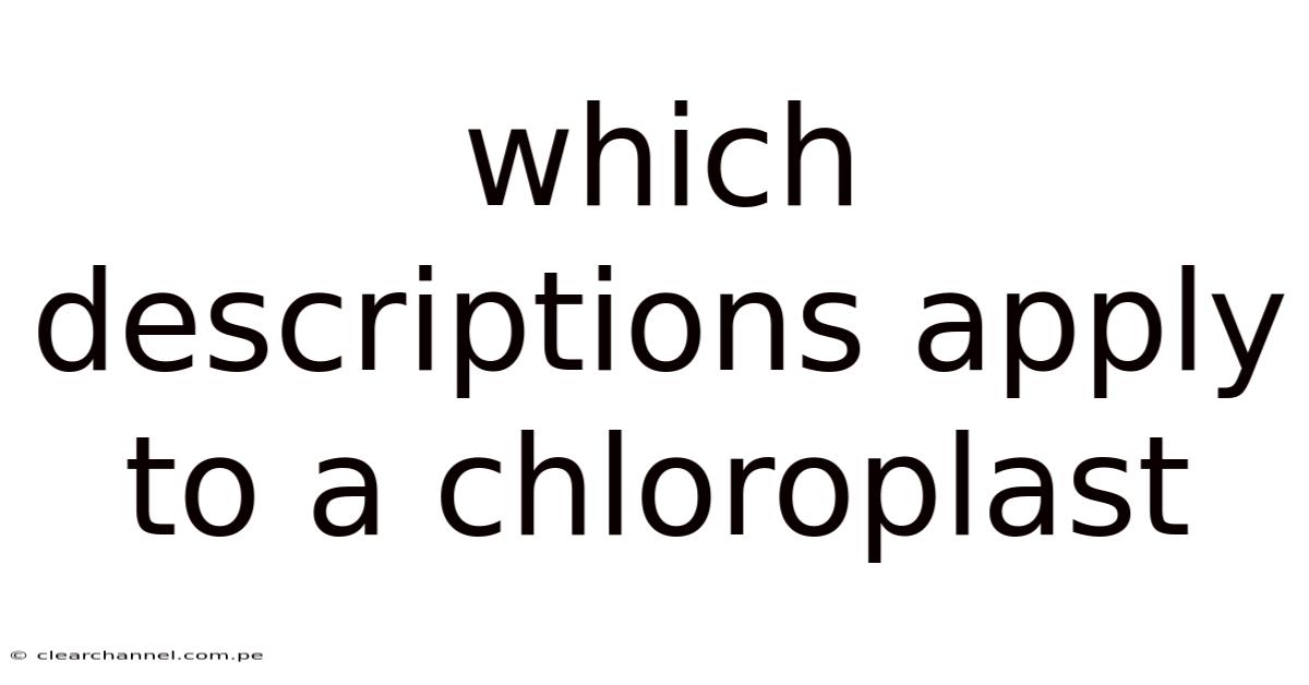 Which Descriptions Apply To A Chloroplast