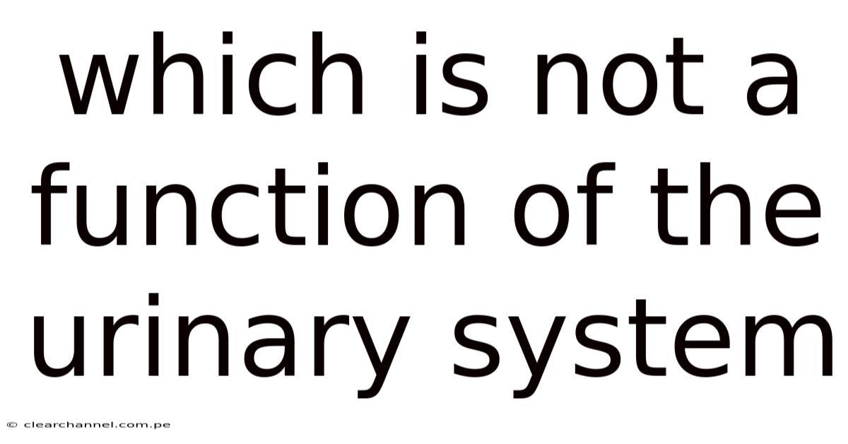 Which Is Not A Function Of The Urinary System