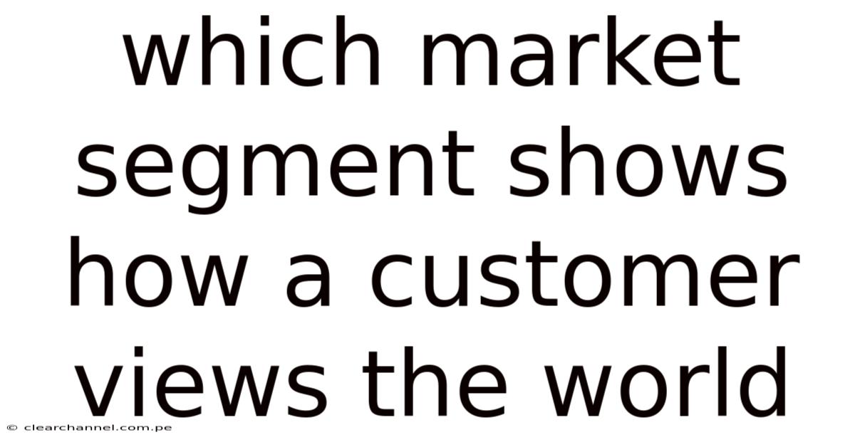 Which Market Segment Shows How A Customer Views The World