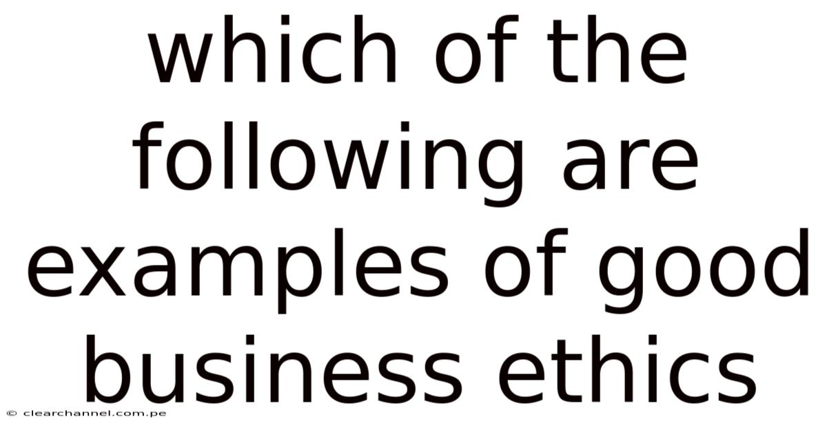 Which Of The Following Are Examples Of Good Business Ethics