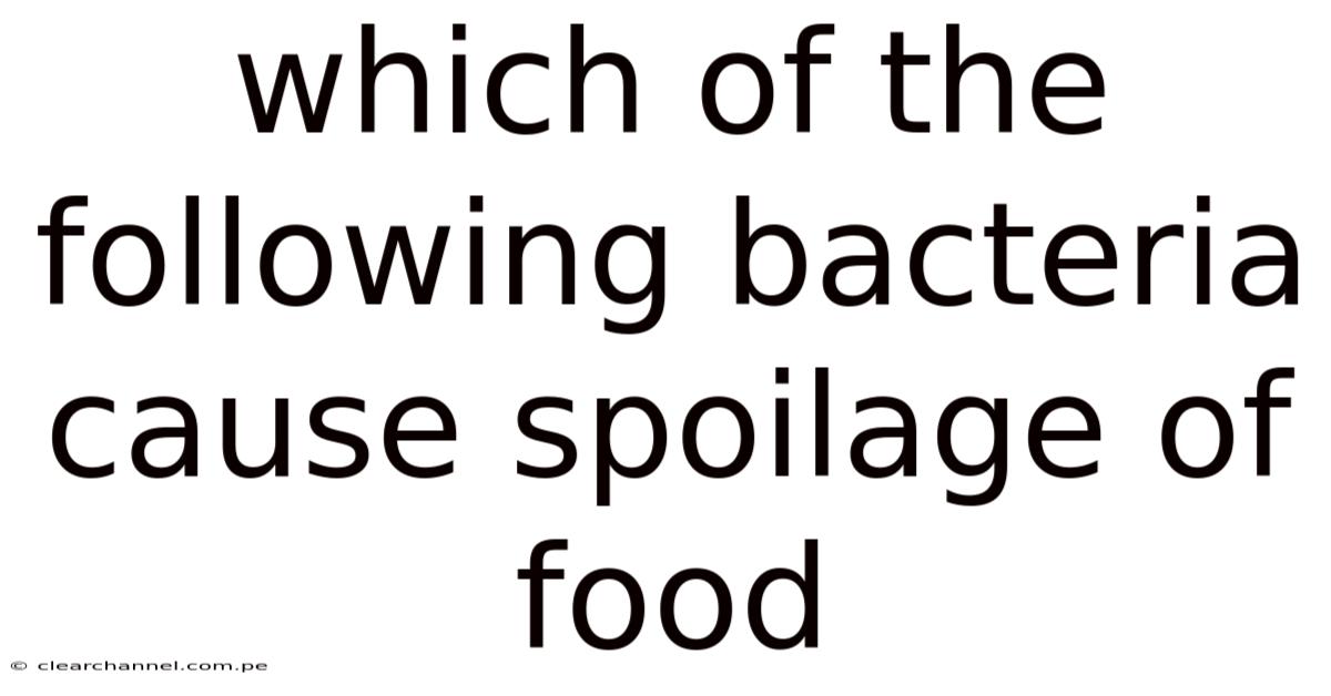 Which Of The Following Bacteria Cause Spoilage Of Food