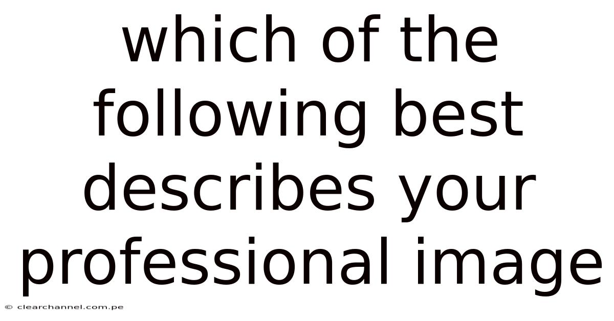 Which Of The Following Best Describes Your Professional Image