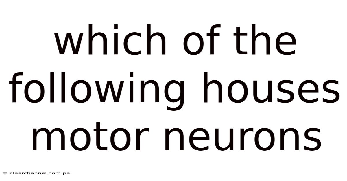 Which Of The Following Houses Motor Neurons
