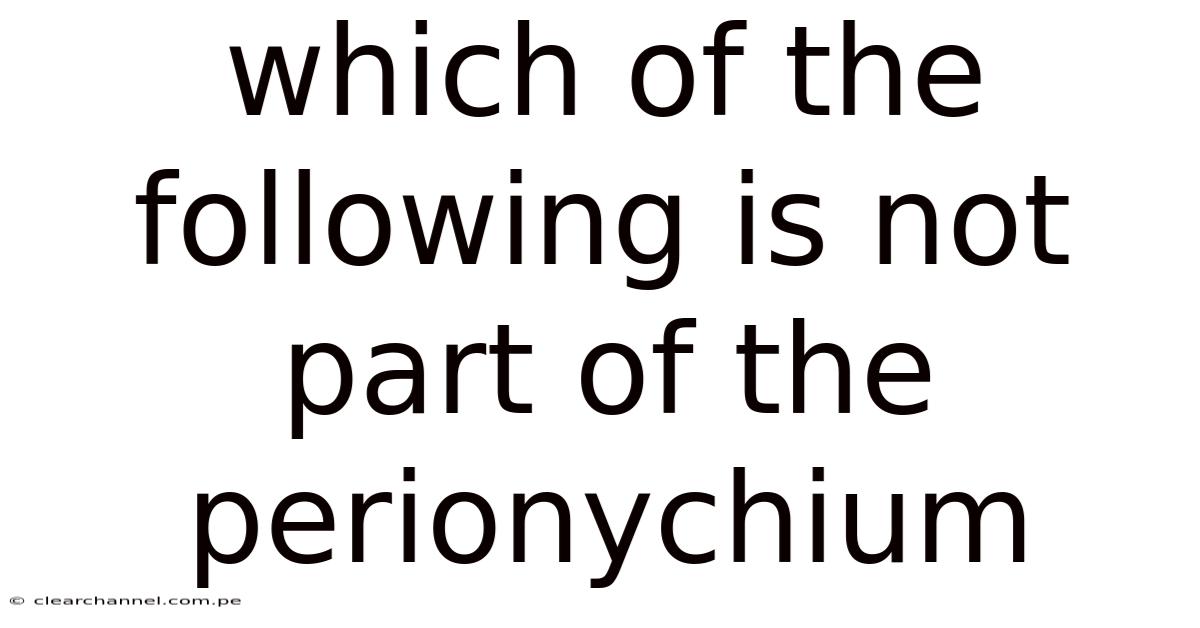 Which Of The Following Is Not Part Of The Perionychium