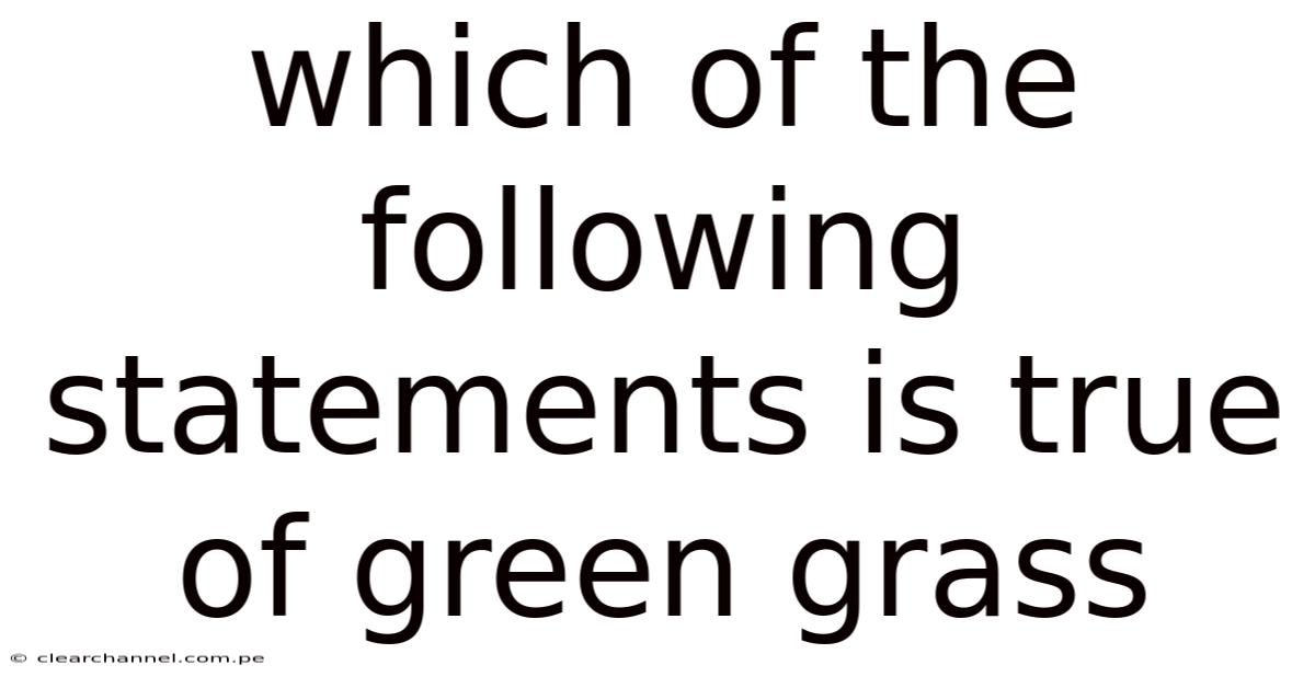 Which Of The Following Statements Is True Of Green Grass
