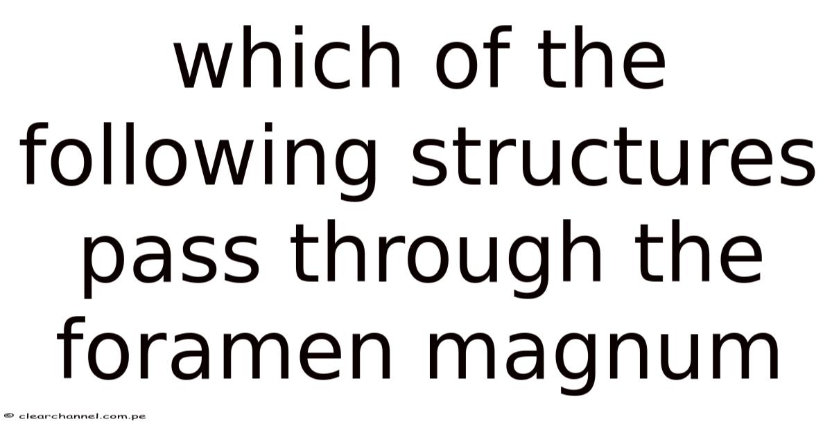 Forimen Which Of The Following Structures Pass Through The Foramen Magnum