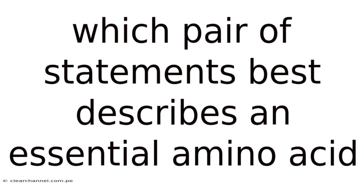 Which Pair Of Statements Best Describes An Essential Amino Acid