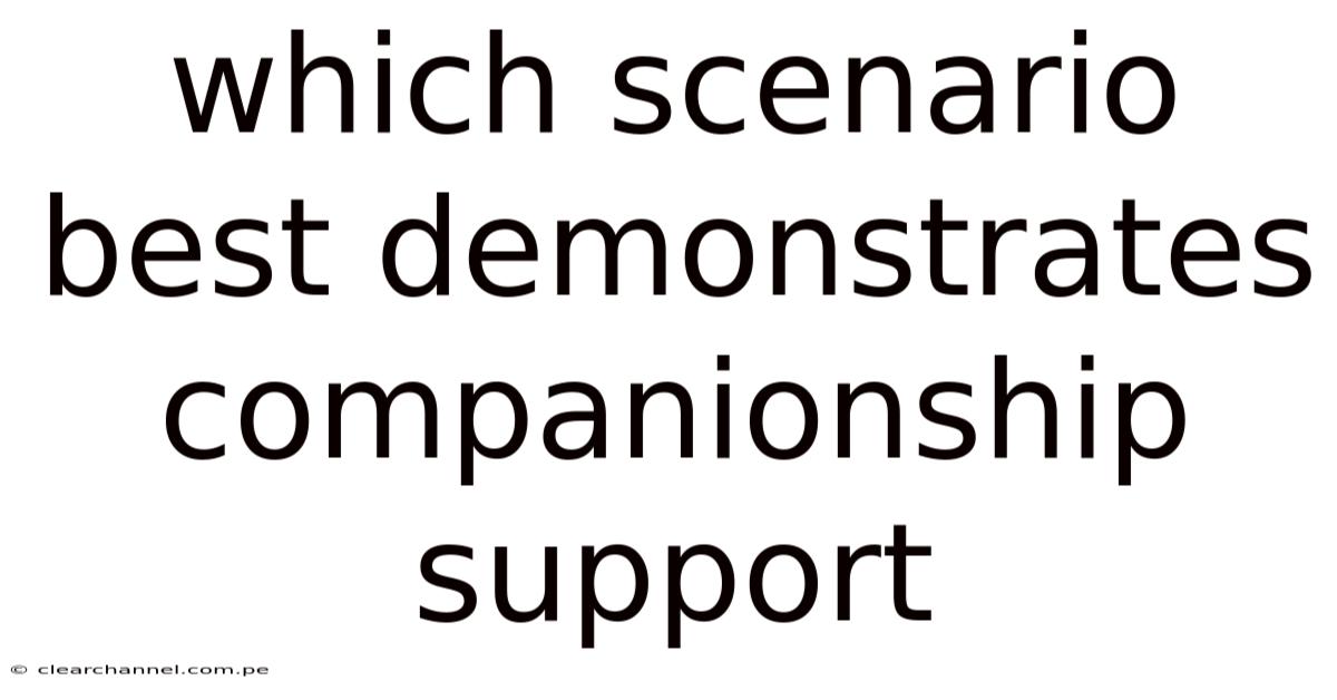 Which Scenario Best Demonstrates Companionship Support