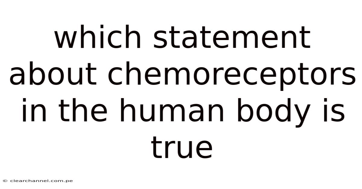 Which Statement About Chemoreceptors In The Human Body Is True