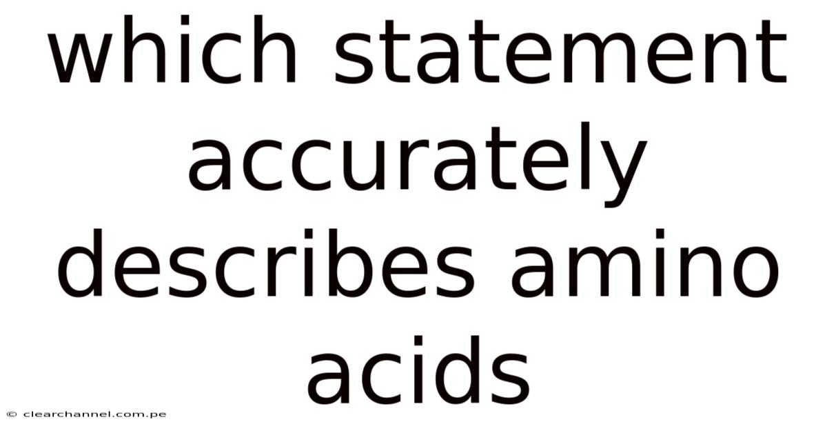 Which Statement Accurately Describes Amino Acids