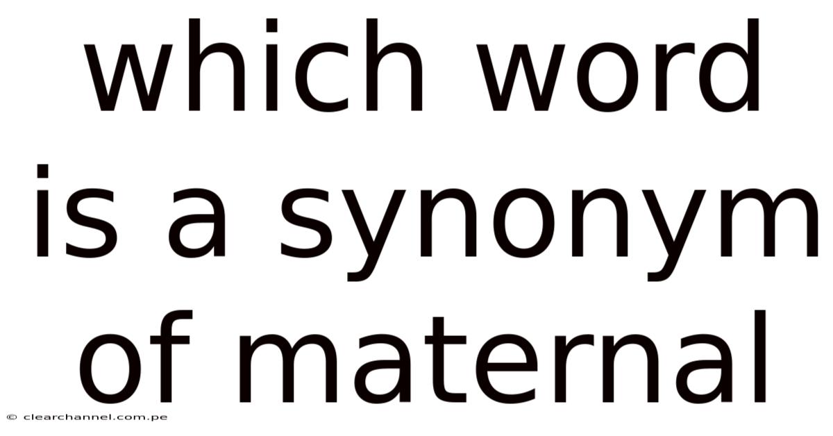 Which Word Is A Synonym Of Maternal