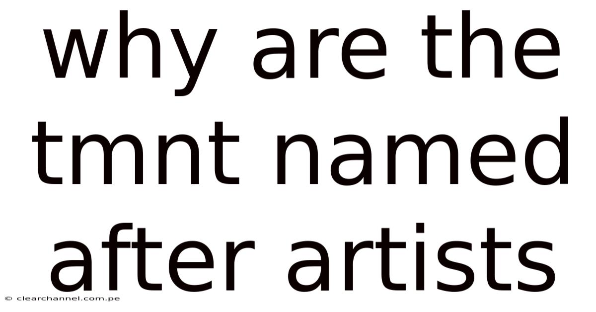 Why Are The Tmnt Named After Artists