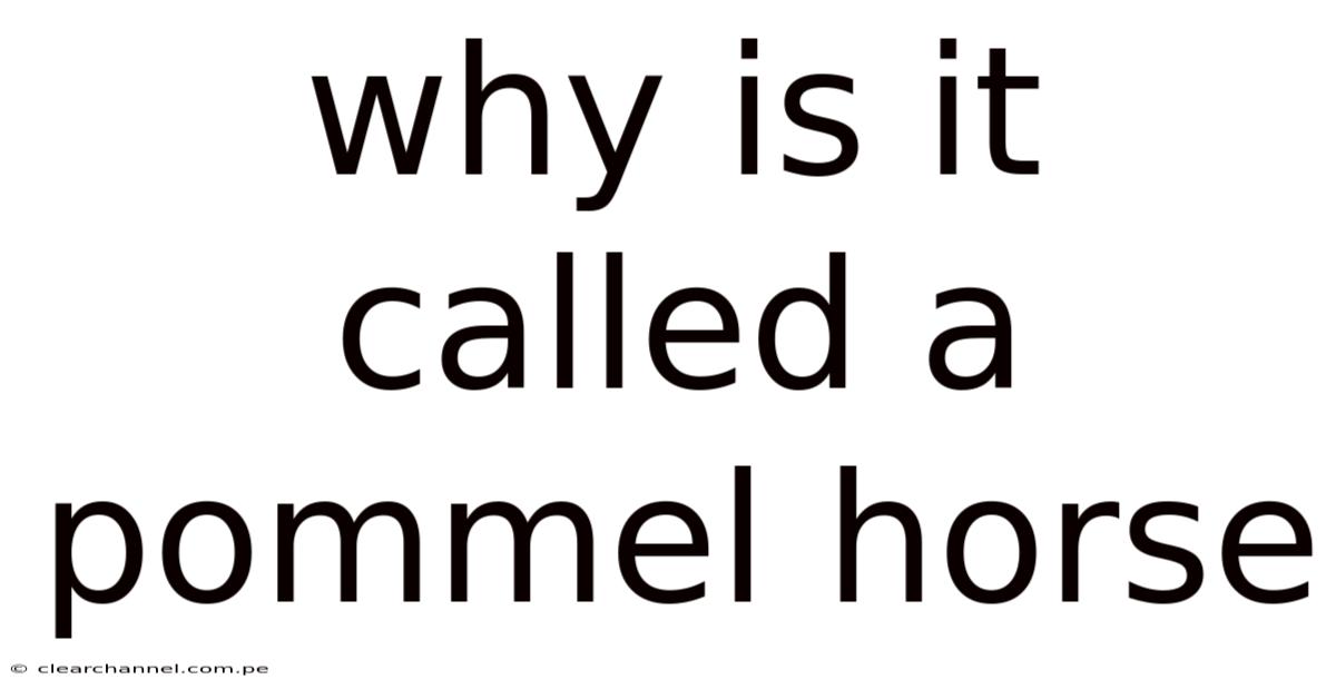 Why Is It Called A Pommel Horse