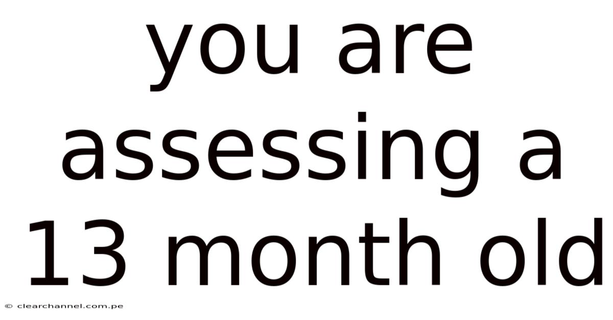 You Are Assessing A 13 Month Old