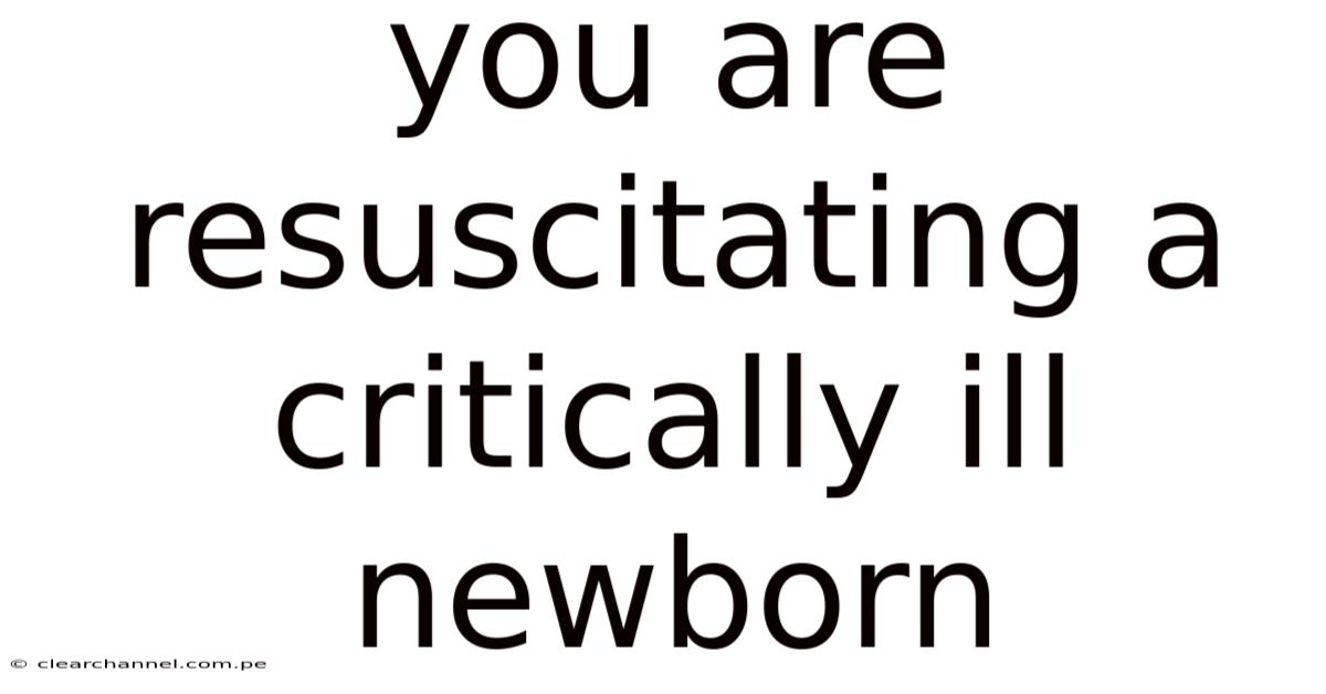 You Are Resuscitating A Critically Ill Newborn